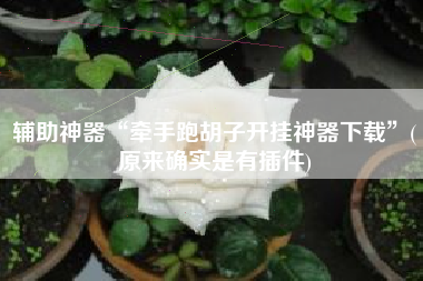 辅助神器“牵手跑胡子开挂神器下载”(原来确实是有插件)