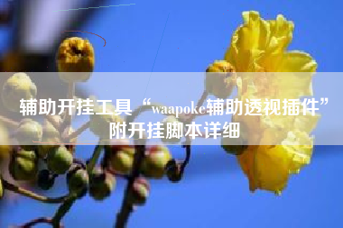 辅助开挂工具“waapoke辅助透视插件	”附开挂脚本详细
