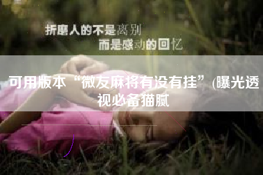 可用版本“微友麻将有没有挂	”(曝光透视必备猫腻