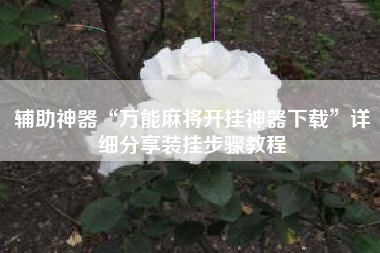 辅助神器“万能麻将开挂神器下载	”详细分享装挂步骤教程