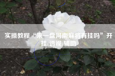 实操教程“来一盘河南麻将有挂吗”开挂(透视)辅助
