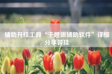 辅助开挂工具“干瞪眼辅助软件”详细分享装挂