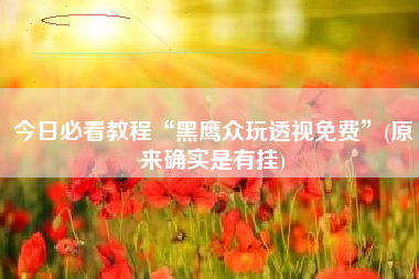 今日必看教程“黑鹰众玩透视免费	”(原来确实是有挂)