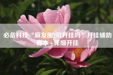 必备科技“麻友圈2可开挂吗”开挂辅助脚本+详细开挂