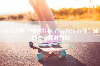 专家分析“榆林打锅子app有没有挂”辅助器 - 实时智能