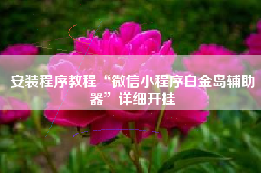 安装程序教程“微信小程序白金岛辅助器”详细开挂