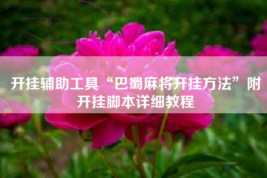 开挂辅助工具“巴蜀麻将开挂方法”附开挂脚本详细教程