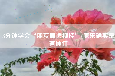 3分钟学会“朋友局透视挂”(原来确实是有插件