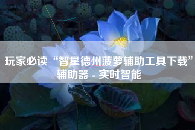 玩家必读“智星德州菠萝辅助工具下载”辅助器 - 实时智能