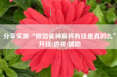 分享实测“微信雀神麻将有挂是真的么”开挂(透视)辅助