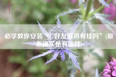 必学教你安装“17好友麻将有挂吗”(原来确实是有插件)