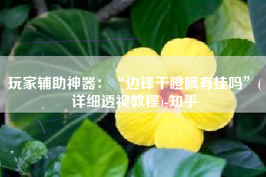 玩家辅助神器：“边锋干瞪眼有挂吗”(详细透视教程)-知乎