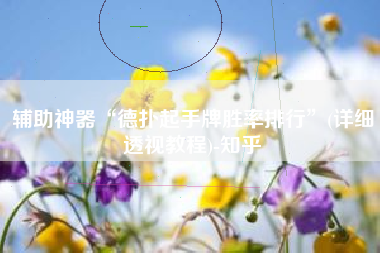 辅助神器“德扑起手牌胜率排行”(详细透视教程)-知乎