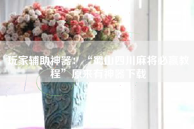 玩家辅助神器：“蜀山四川麻将必赢教程”原来有神器下载