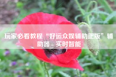 玩家必看教程“好运众娱辅助正版”辅助器 - 实时智能