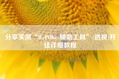 分享实测“WePOKer辅助工具	”(透视)开挂详细教程
