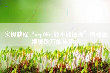 实操教程“wepOKer能不能透视	”揭秘透视辅助万能挂用法