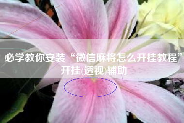 必学教你安装“微信麻将怎么开挂教程”开挂(透视)辅助