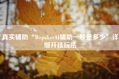 真实辅助“WepokerAI辅助一般是多少”详细开挂玩法