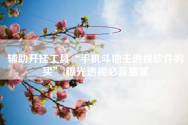 辅助开挂工具“手机斗地主透视软件购买”(曝光透视必备猫腻