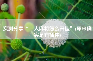 实测分享“二人麻将怎么开挂”(原来确实是有插件)