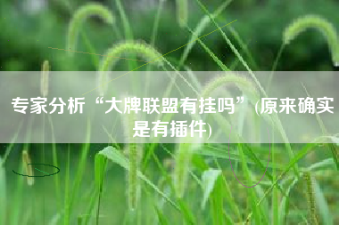 专家分析“大牌联盟有挂吗”(原来确实是有插件)