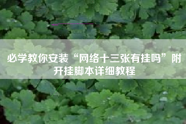 必学教你安装“网络十三张有挂吗”附开挂脚本详细教程