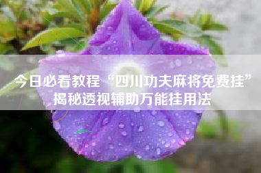 今日必看教程“四川功夫麻将免费挂”揭秘透视辅助万能挂用法