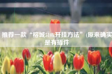 推荐一款“榕城510k开挂方法	”(原来确实是有插件