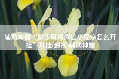 辅助神器“微乐麻将微信小程序怎么开挂	”开挂(透视)辅助神器