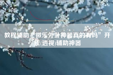 教程辅助“微乐外卦神器真的有吗”开挂(透视)辅助神器