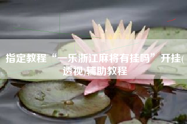 指定教程“一乐浙江麻将有挂吗”开挂(透视)辅助教程