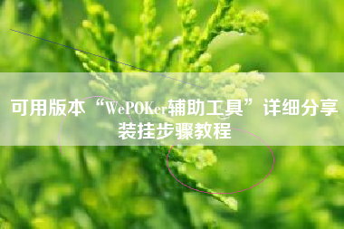 可用版本“WePOKer辅助工具”详细分享装挂步骤教程