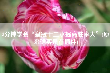 3分钟学会“皇冠十三水提高胜率大”(原来确实是有插件)