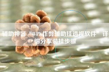 辅助神器“WPK作弊辅助挂透视软件”详细分享装挂步骤
