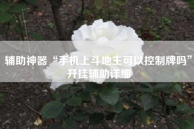 辅助神器“手机上斗地主可以控制牌吗	”开挂辅助详细