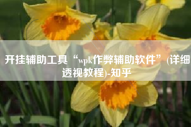 开挂辅助工具“wpk作弊辅助软件	”(详细透视教程)-知乎
