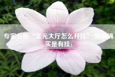 专家分析“圣光大厅怎么开挂”(原来确实是有挂)