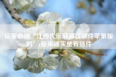 玩家必读“江西优乐麻将挂软件苹果版的”(原来确实是有插件