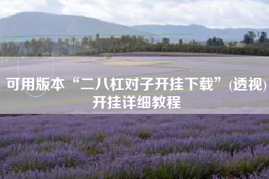 可用版本“二八杠对子开挂下载”(透视)开挂详细教程