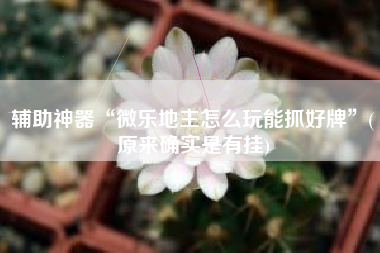 辅助神器“微乐地主怎么玩能抓好牌	”(原来确实是有挂)