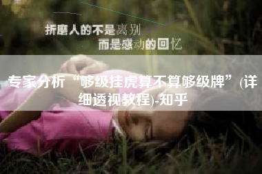 专家分析“够级挂虎算不算够级牌”(详细透视教程)-知乎