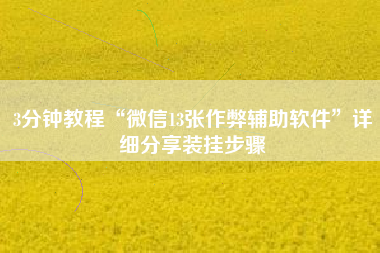 3分钟教程“微信13张作弊辅助软件	”详细分享装挂步骤