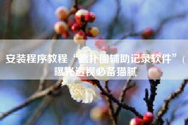 安装程序教程“德扑圈辅助记录软件	”(曝光透视必备猫腻