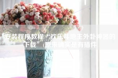 安装程序教程“欢乐斗地主外卦神器的下载”(原来确实是有插件