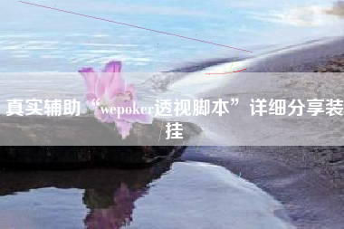 真实辅助“wepoker透视脚本”详细分享装挂