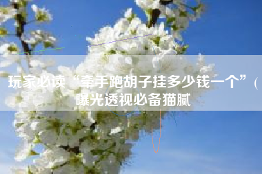 玩家必读“牵手跑胡子挂多少钱一个	”(曝光透视必备猫腻