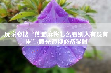 玩家必搜“熊猫麻将怎么看别人有没有挂”(曝光透视必备猫腻