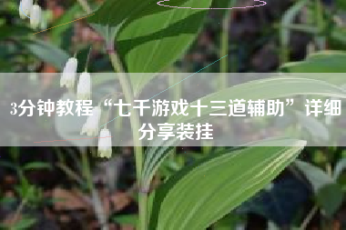 3分钟教程“七千游戏十三道辅助	”详细分享装挂
