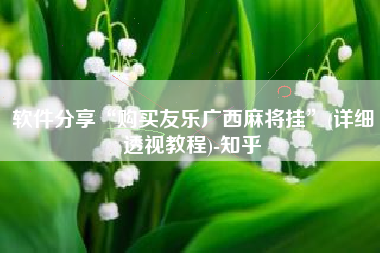 软件分享“购买友乐广西麻将挂”(详细透视教程)-知乎